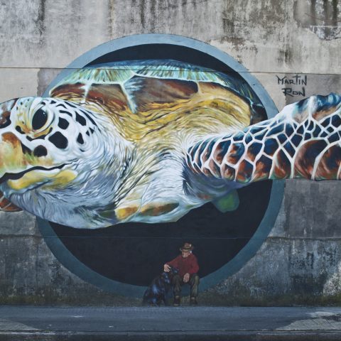 2013_Pedro Luján y su perro_Buenos Aires, Argentina