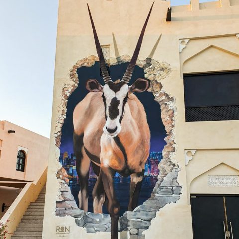 2019_Oryx going ahead_DOHA_QATAR