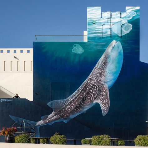 Ocean in the sky	2022	Doha, Qatar